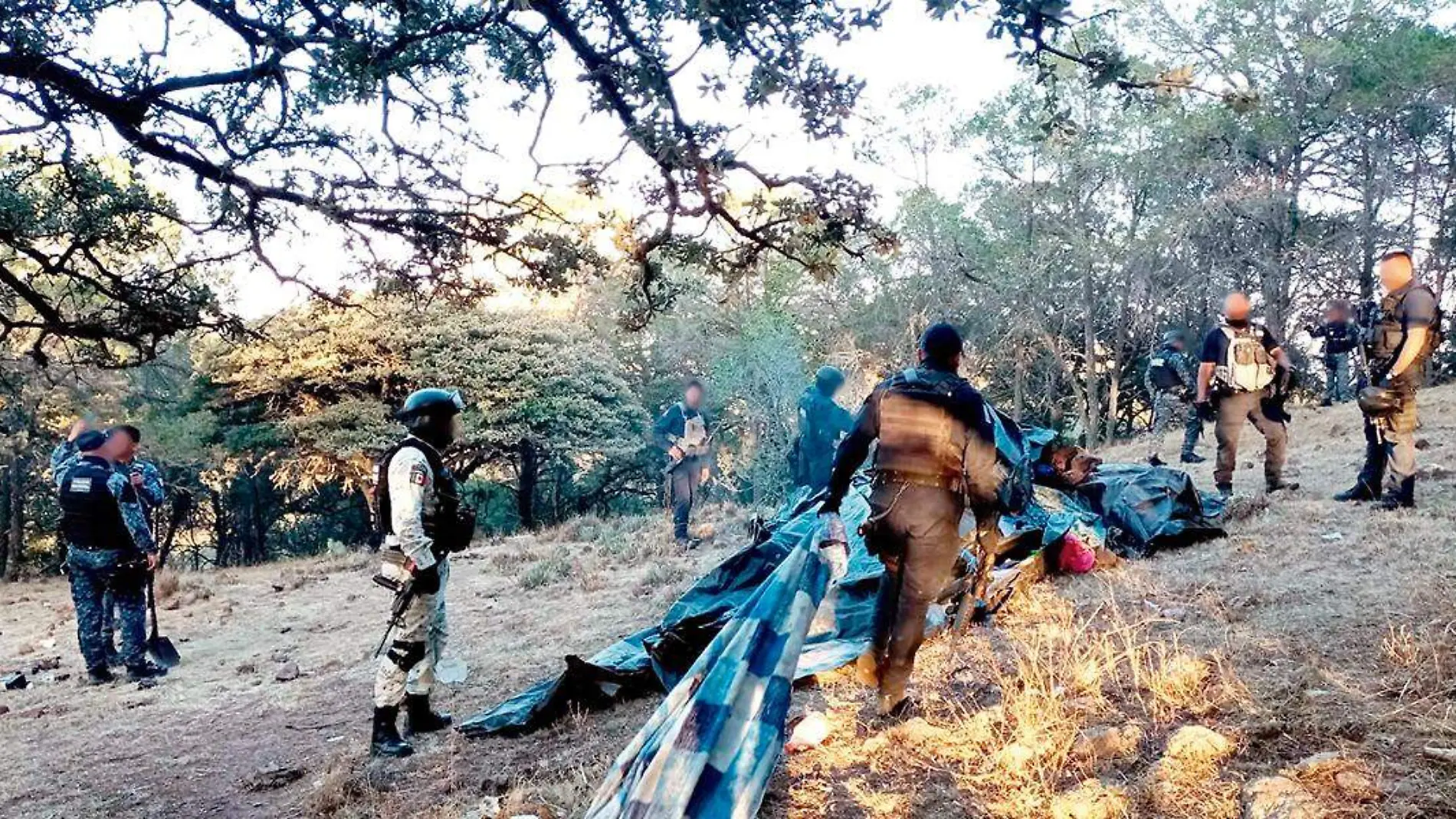 Destrucción de campamento delincuencial en Jerez